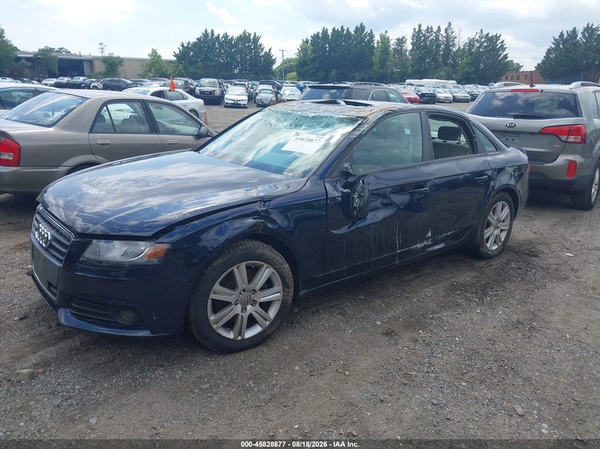 2010 Audi A4, Солёная вода, IAAI, VIN WAUBFAFL1AN057730 — фото 2