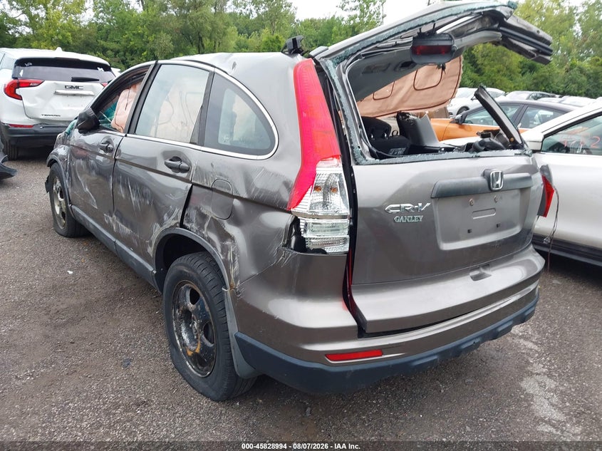 2010 HONDA CR-V auction photo 3