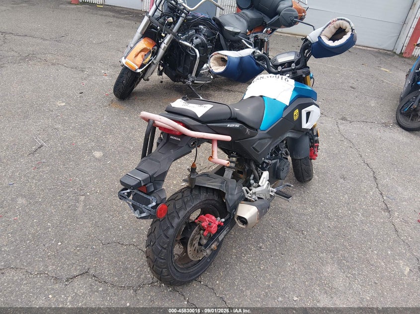 HONDA GROM 2019
