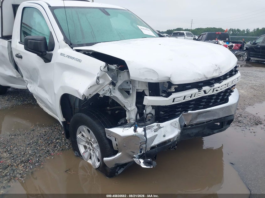 CHEVROLET SILVERADO 1500 2020 VIN 3GCNWAEF6LG290381