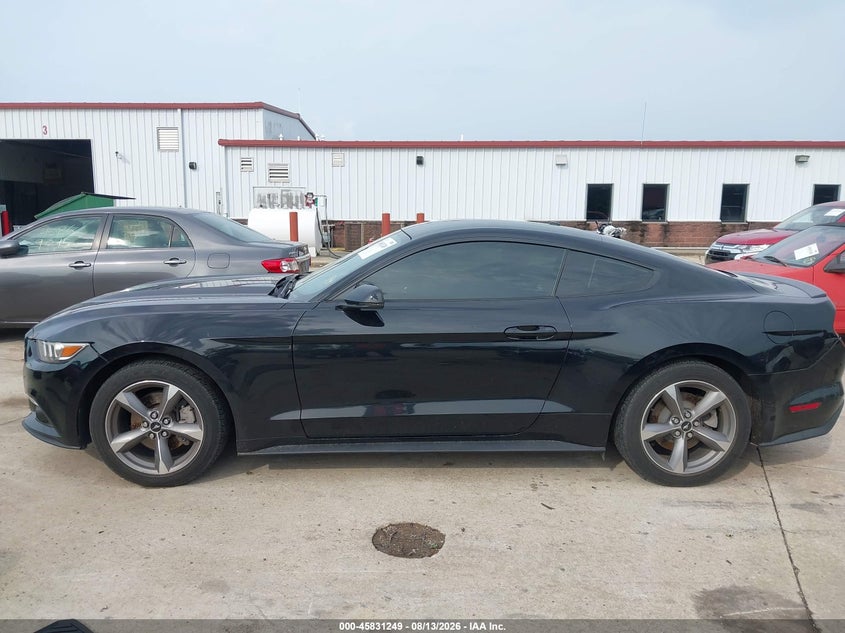 FORD MUSTANG - zdjęcie 14