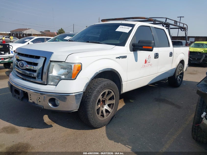 Vin: 1ftfw1cf0bkd43848, lot: 46331497, ford f-150 xlt 20112