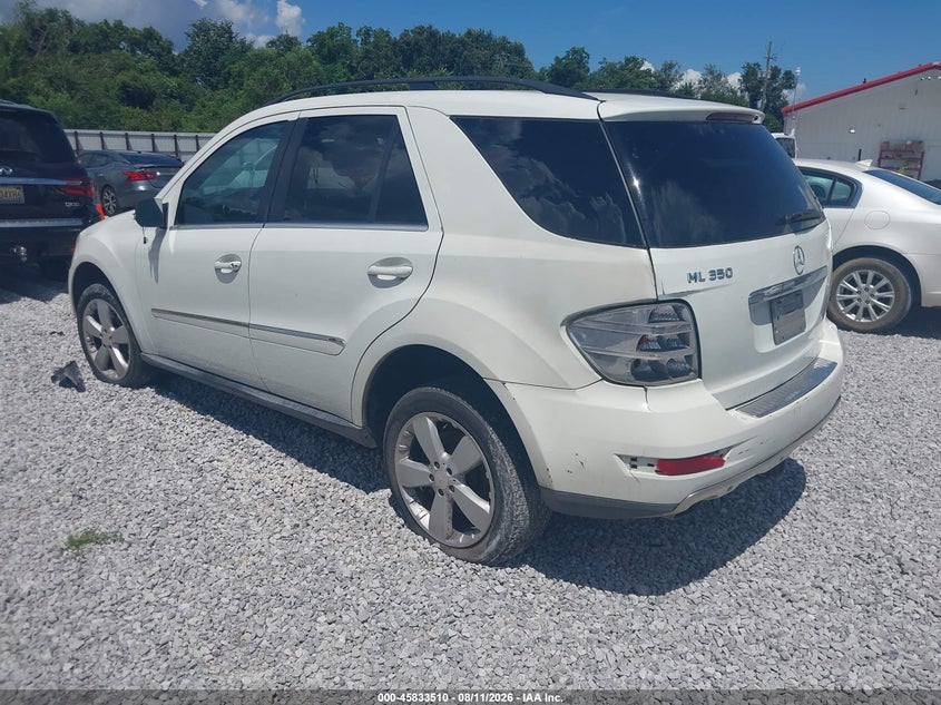 2010 MERCEDES-BENZ ML 350 auction photo 3