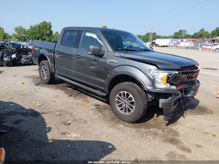 Vin: 1ftew1ep0kkc36946, lot: 46332787, ford f-150 xlt 2019 img_1