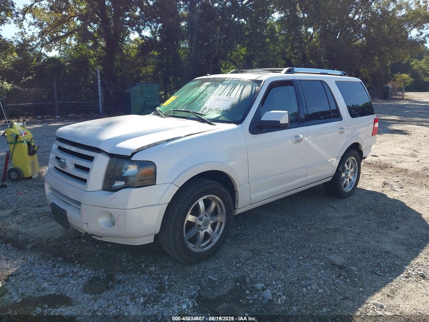 FORD EXPEDITION 2010 VIN 1FMJU2A5XAEA33229