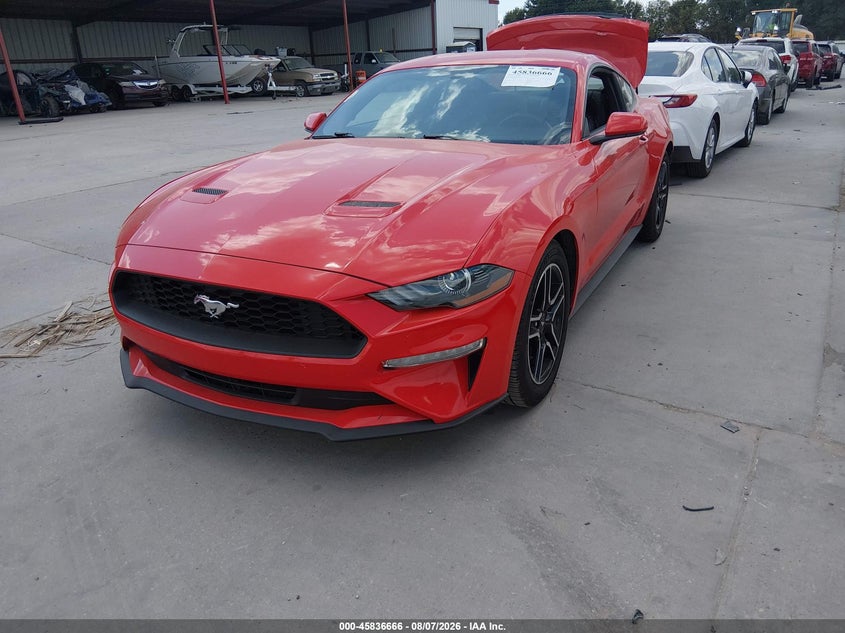 Vin: 1fa6p8th3l5169707, lot: 46335574, ford mustang ecoboost fastback 20202