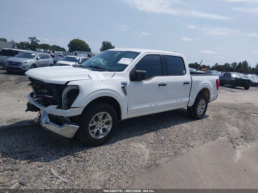 Vin: 1ftew1c55pkf46325, lot: 46336105, ford f-150 xlt 20232