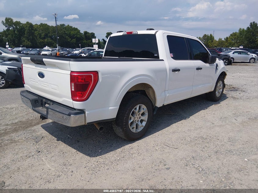 Vin: 1ftew1c55pkf46325, lot: 46336105, ford f-150 xlt 20234