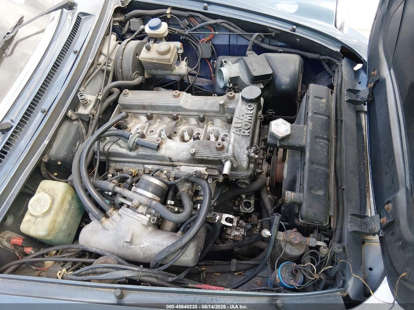 1987 ALFA ROMEO SPIDER auction photo 6