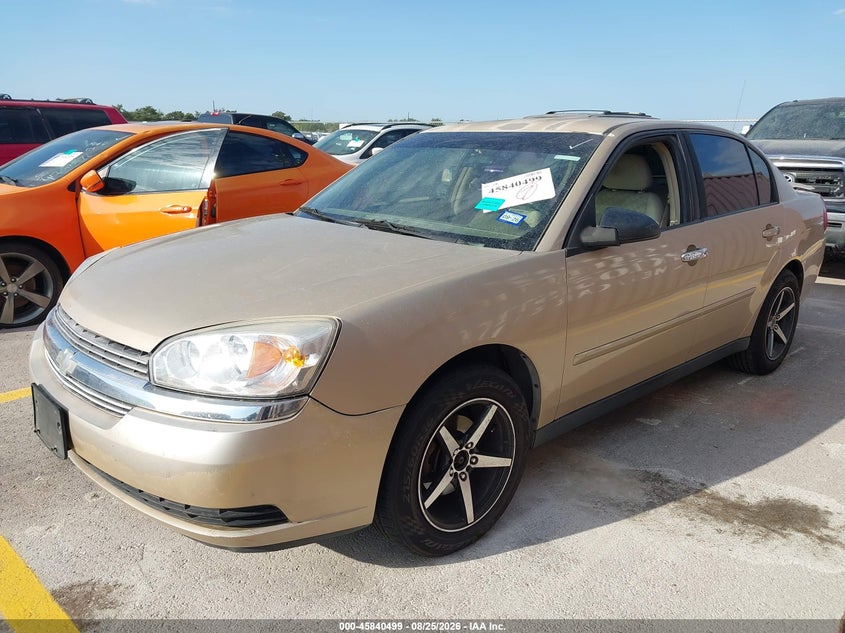 2005 Chevrolet Malibu, Обычный износ, IAAI, VIN 1G1ZT54875F163480 — фото 2