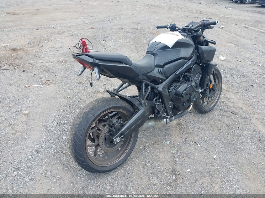 HONDA CB650 2024