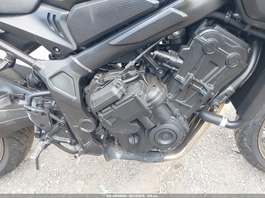 HONDA CB650 2024