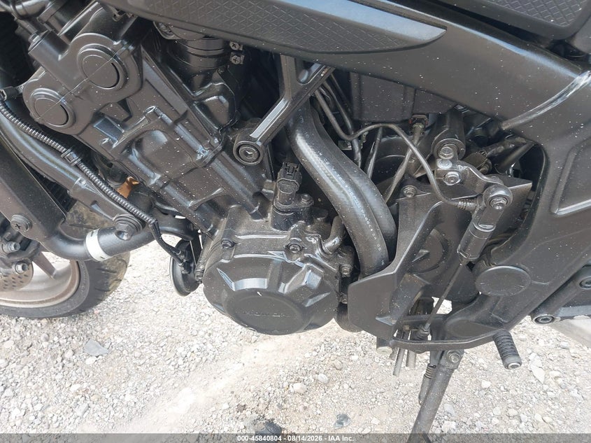 HONDA CB650 2024
