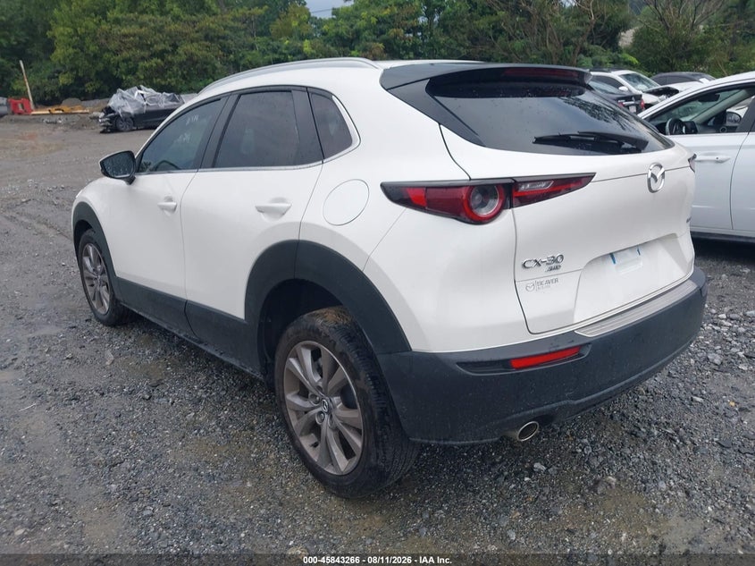 MAZDA CX-30 2024 VIN 3MVDMBCM8RM610219