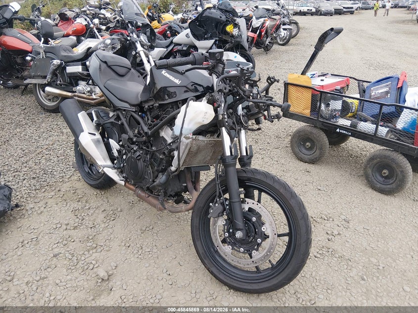 KAWASAKI EX500 2024