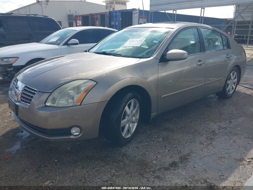 2005 Nissan Maxima, Обычный износ, IAAI, VIN 1N4BA41E45C829849 — фото 2