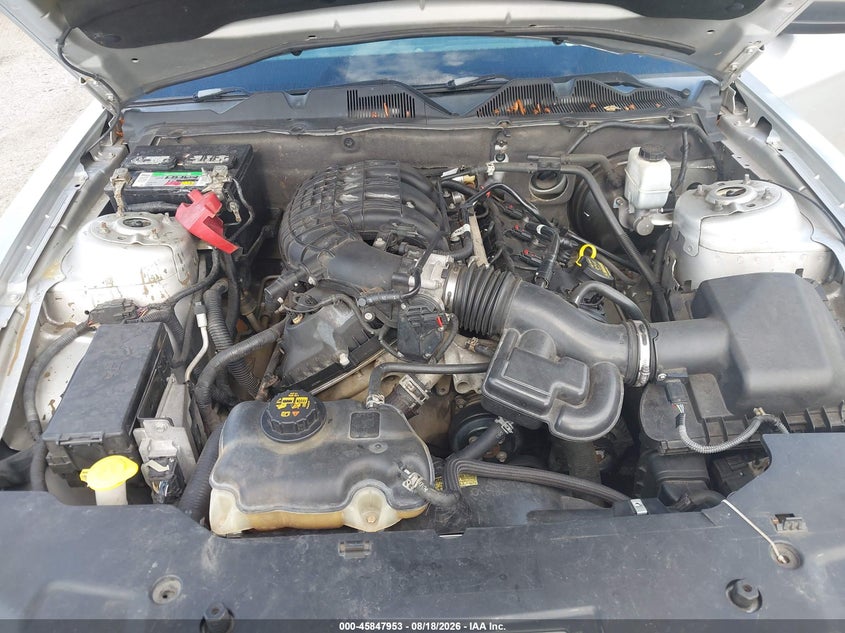 FORD MUSTANG 2011 VIN 1ZVBP8AM4B5108435