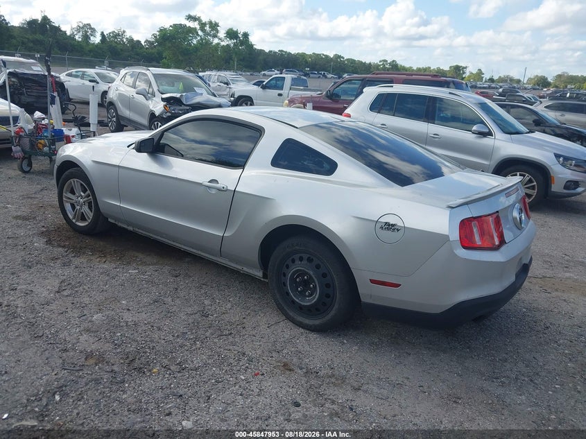 FORD MUSTANG 2011 VIN 1ZVBP8AM4B5108435