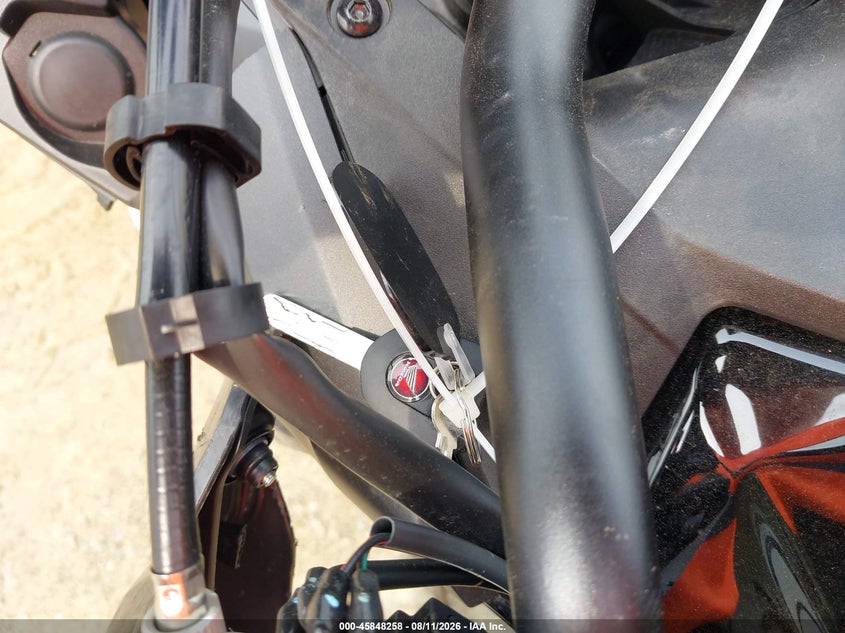 HONDA CRF1000 2025