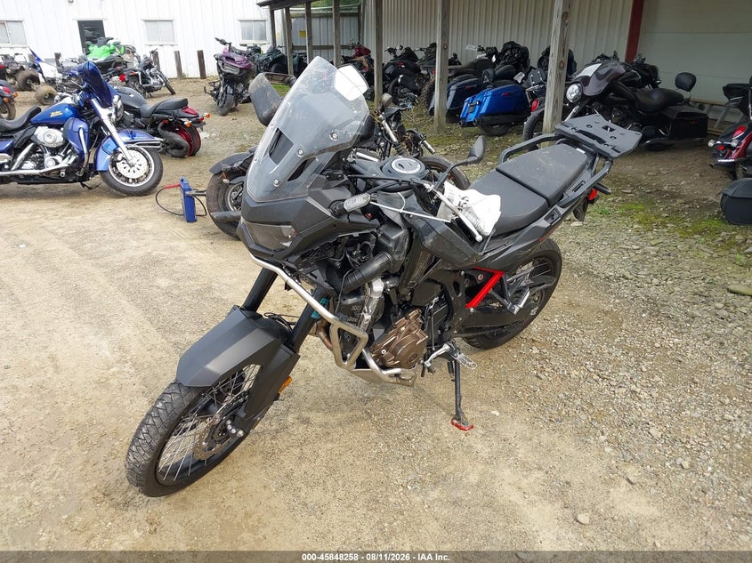 HONDA CRF1000 2025