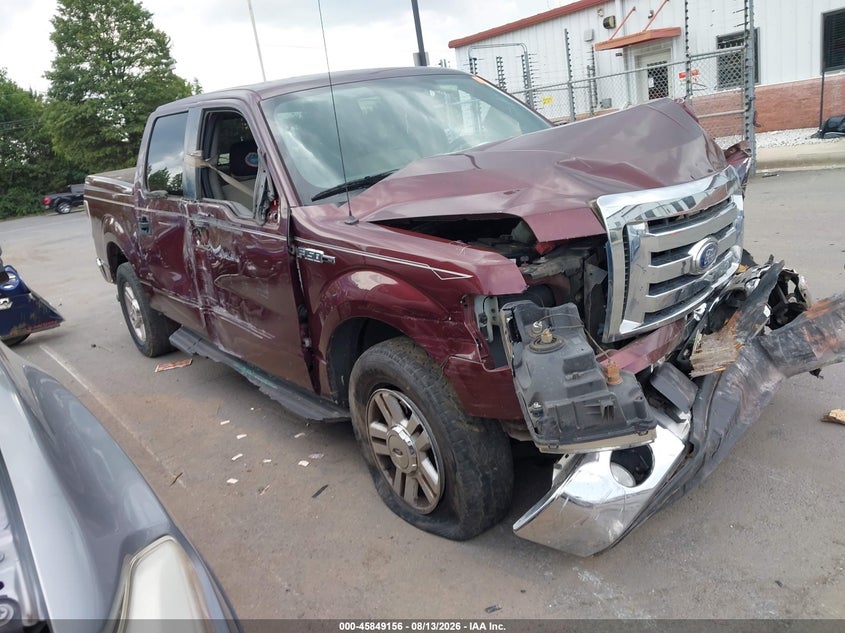 Vin: 1ftfw1cv8akb25811, lot: 46348089, ford f-150 xlt 2010 img_1