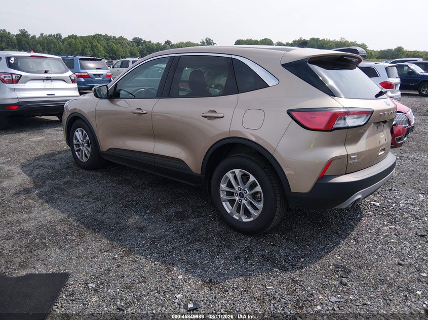FORD ESCAPE 2021 VIN 1FMCU0G68MUA99656