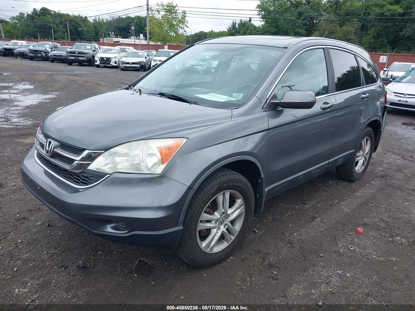 2010 HONDA CR-V auction photo 2