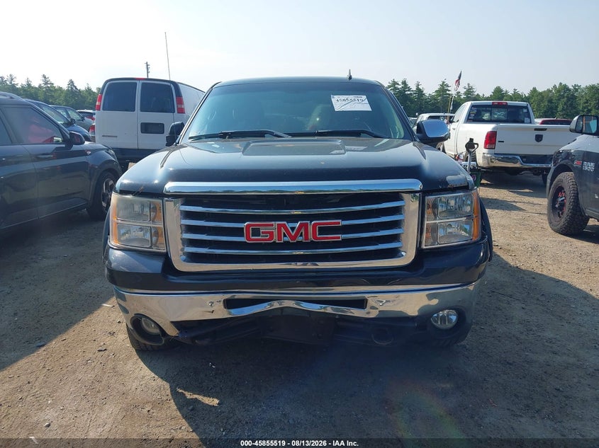 GMC SIERRA 1500 2009 VIN 1GTEK29J79Z149988