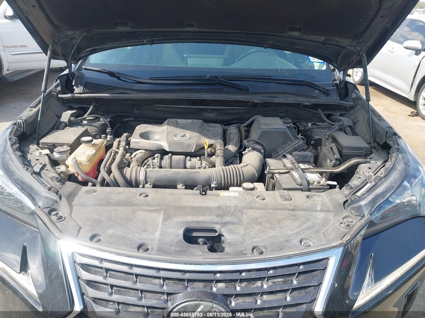 LEXUS NX 300 2020 VIN JTJGARBZ4L5005198