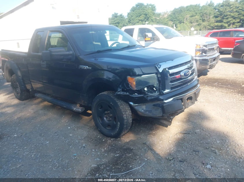 2010 FORD F-150 auction photo 1