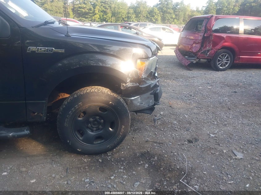 2010 FORD F-150 auction photo 6
