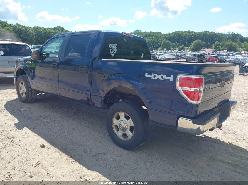 2010 FORD F-150 auction photo 3