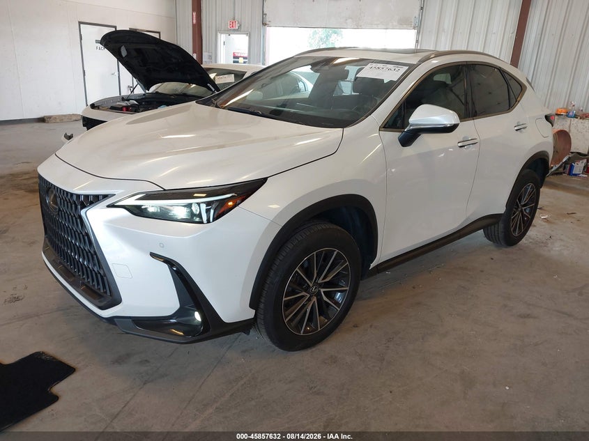 2022 Lexus NX, Exterior Burn, IAAI, VIN JTJGDCEZ5N2000774 — photo 2