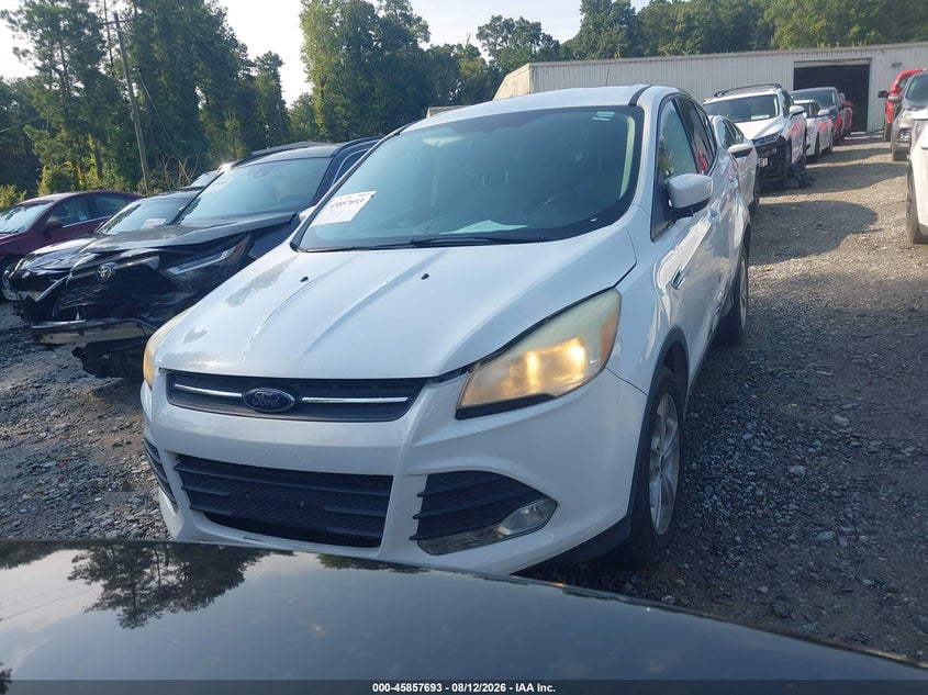 2013 Ford Escape, Левый бок, IAAI, VIN 1FMCU0GX6DUC04395 — фото 2