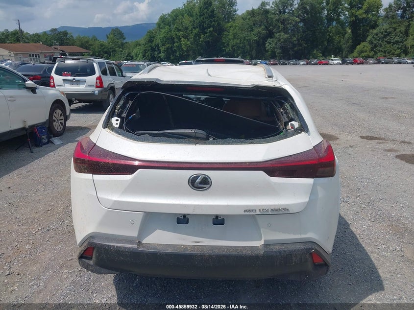 LEXUS UX 250H - zdjęcie 17