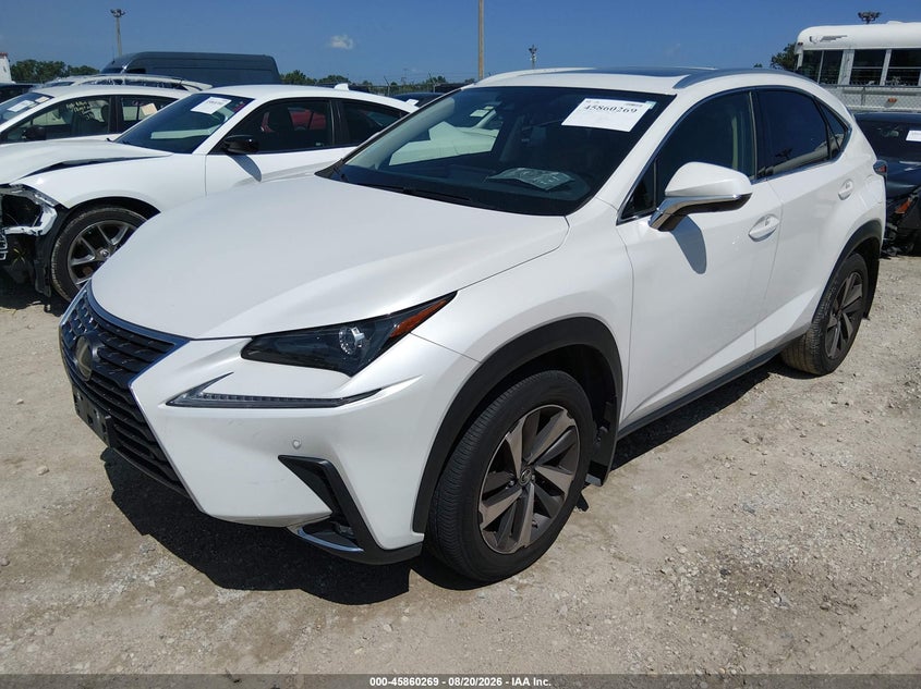 2021 Lexus NX, Hail, IAAI, VIN JTJGARDZ7M5021619 — photo 2