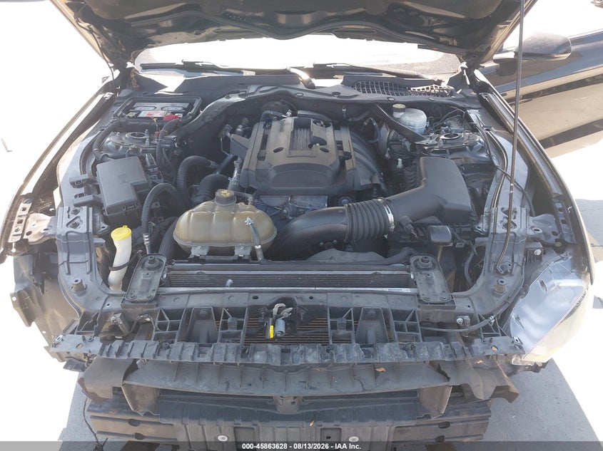 FORD MUSTANG 2019 VIN 1FATP8UH7K5170259