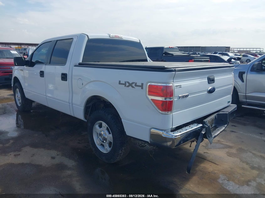 2010 FORD F-150 auction photo 3