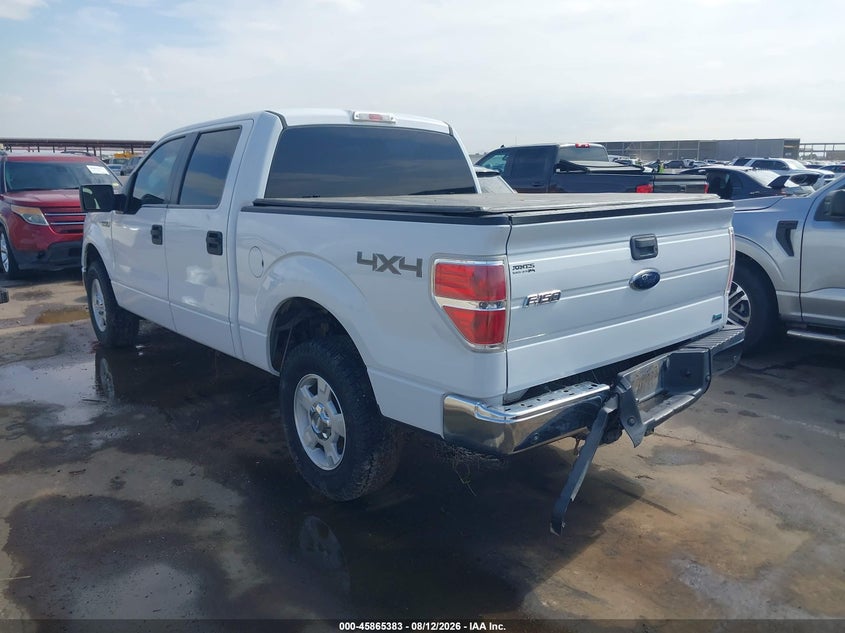 2010 FORD F-150 auction photo 6