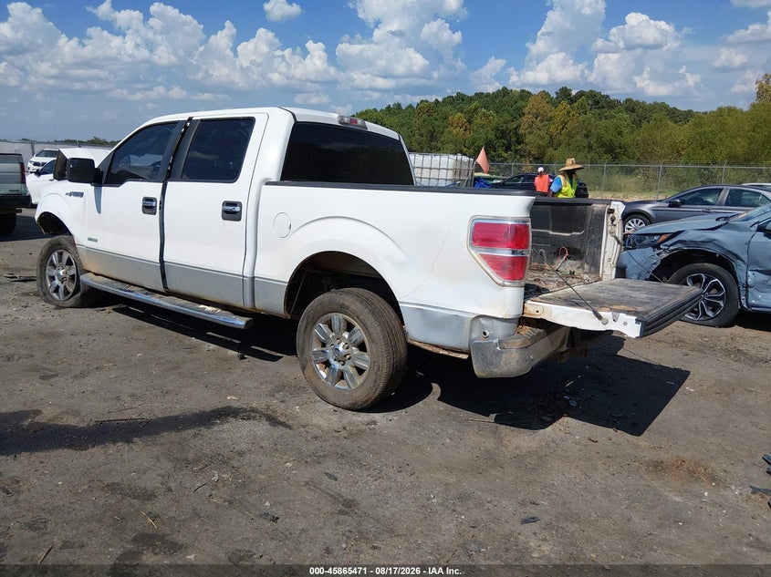 Vin: 1ftfw1ct6bfb52224, lot: 46364441, ford f-150 xlt 20113