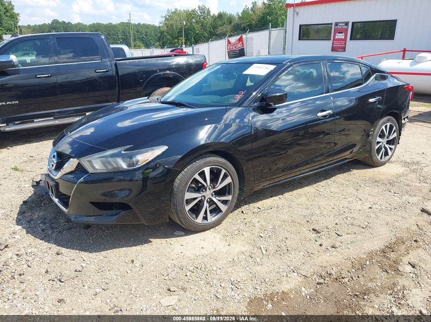 2016 Nissan Maxima, Rear, IAAI, VIN 1N4AA6APXGC905649 — photo 2