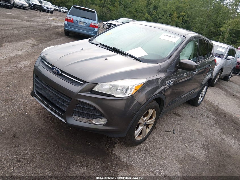 2016 Ford Escape, Правый бок, IAAI, VIN 1FMCU0G76GUA43471 — фото 2