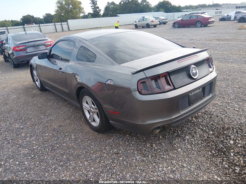 2013 FORD MUSTANG auction photo 3