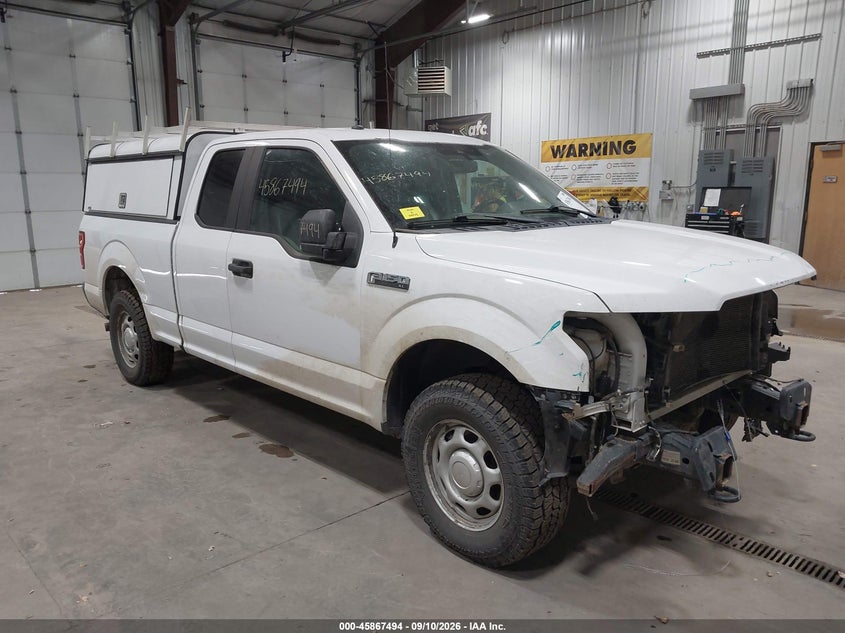 Vin: 1ftfx1e52kkd18838, lot: 46366464, ford f-150 xl 2019 img_1