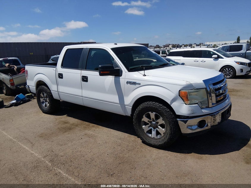 Vin: 1ftew1c82afc52309, lot: 46369629, ford f-150 xlt 2010 img_1