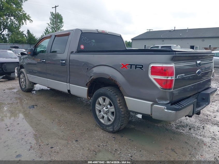 2010 FORD F-150 auction photo 3