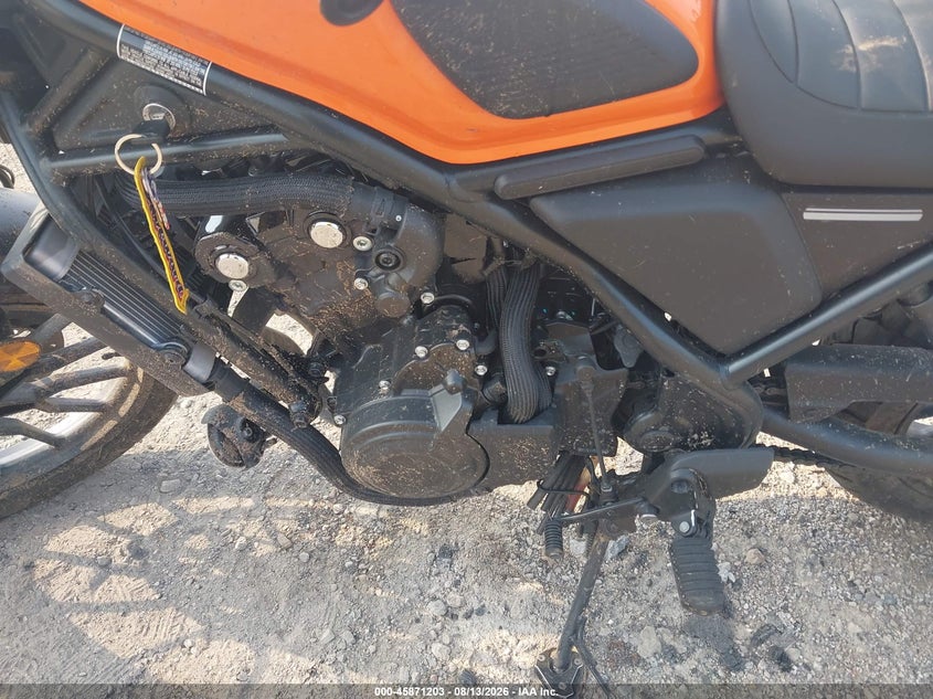 HONDA CL500 2023