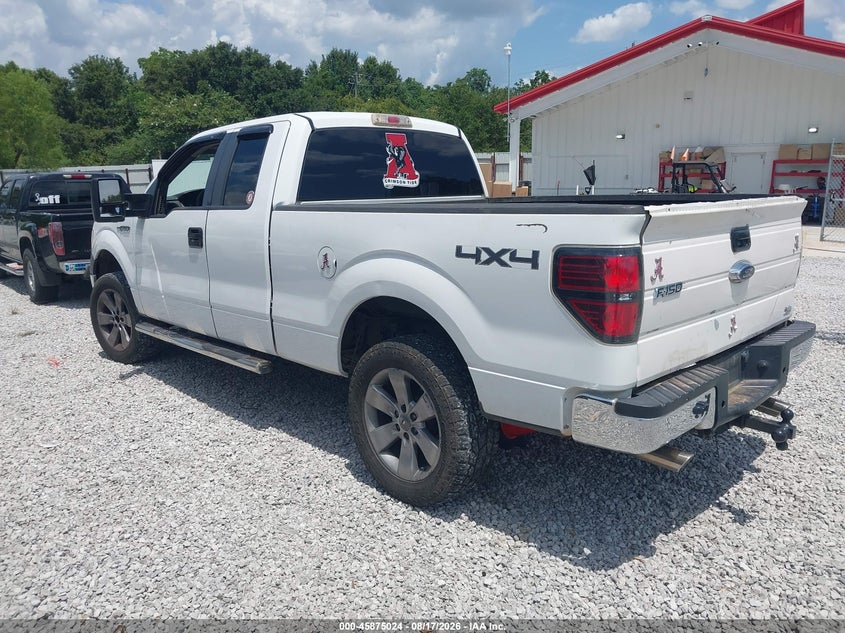 2010 FORD F-150 auction photo 3