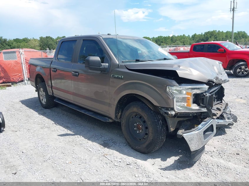 Vin: 1ftew1c4xkfd34531, lot: 46374314, ford f-150 xl 2019 img_1