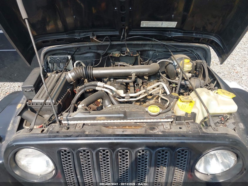 JEEP WRANGLER 2003 VIN 1J4FA59S33P318483